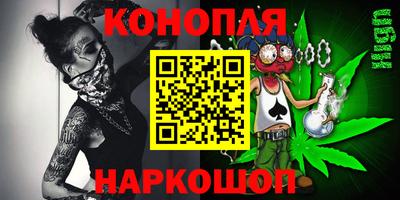 гашик Аргун