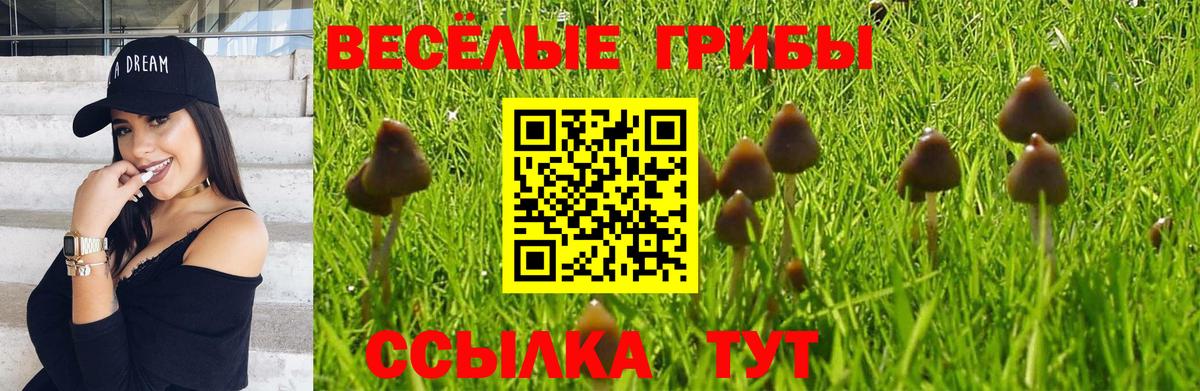 Галлюциногенные грибы мицелий  Вход с VPN  Галлюциногенные грибы GOLDEN TEACHER  Учалы 