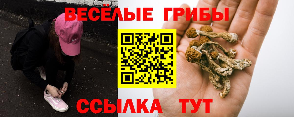 Псилоцибиновые грибы ЛСД Учалы